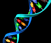 上海柘智生物科技 創(chuàng)新驅(qū)動，引領(lǐng)生物科技新浪潮